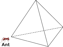 Crawling ant and 3-d shape