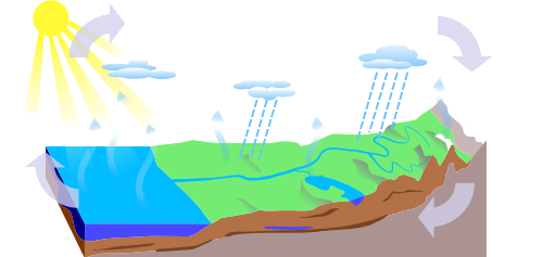 diagram of the water cycle