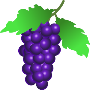 grapes.png