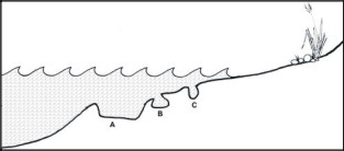 rockpool diagram