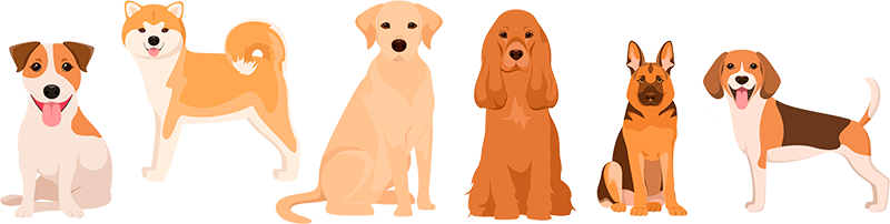 illustration: six dogs