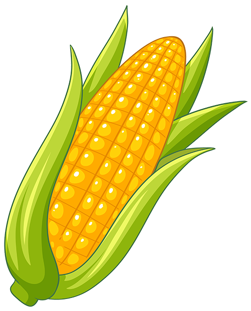 Corn-FP.png