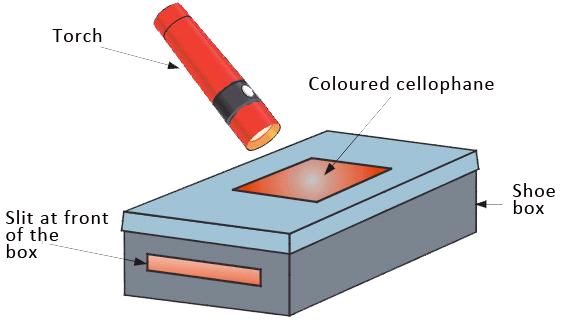 diagram of experiment to investigate colour