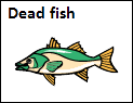 dead fish