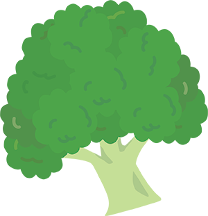 broccoli-IS-300.png