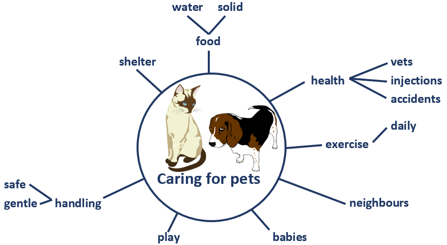 brainstorm about caring for pets