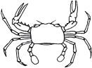 crab