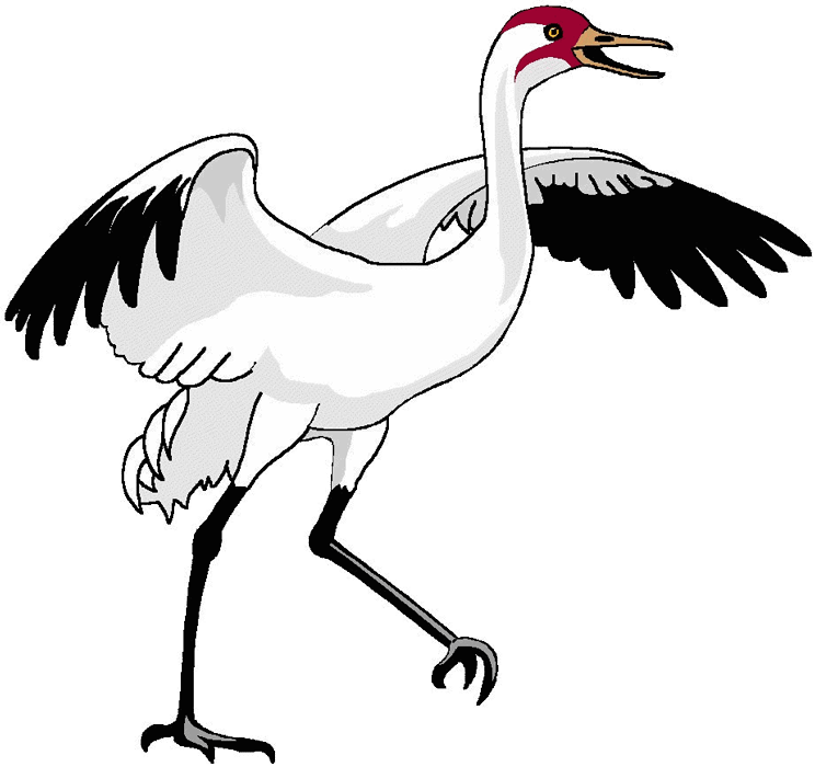 crane-bird.png