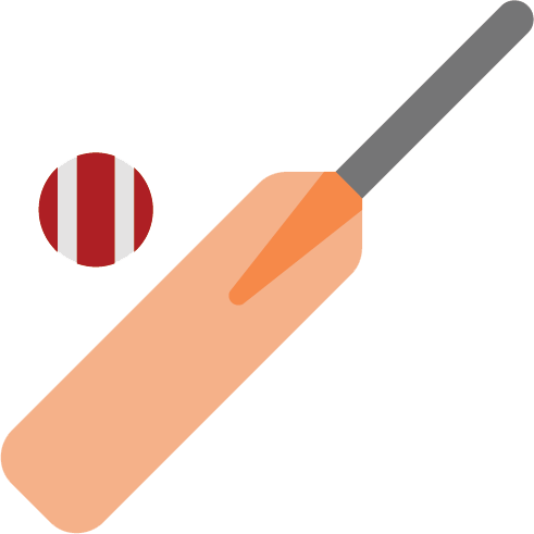 illustration: cricket bat and ball