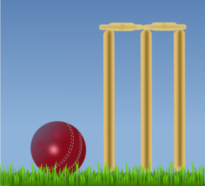 cricket wickets and ball illustration