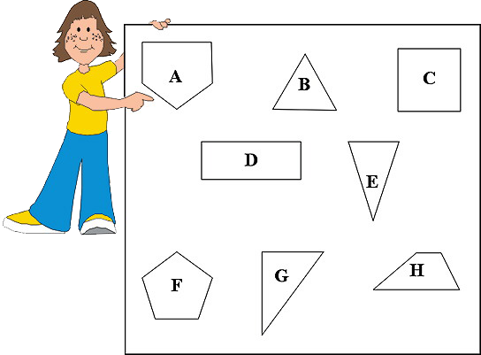 selection of different shapes