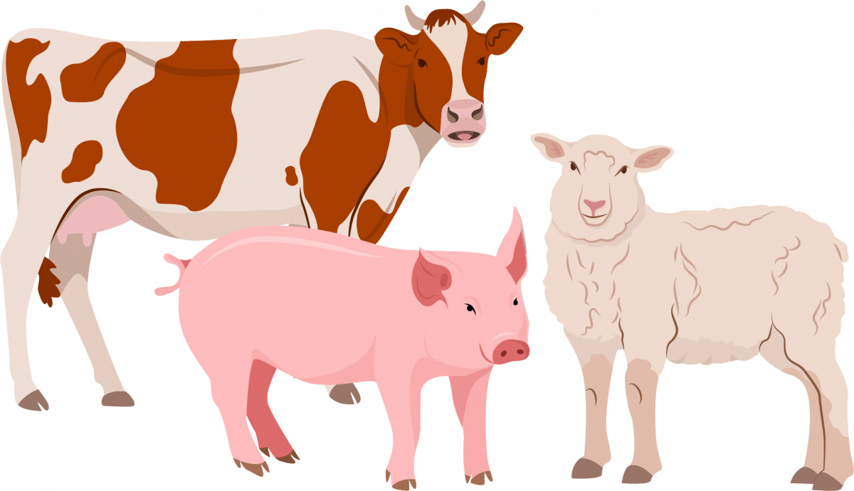 illustration: farm animals