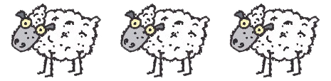 farm sheep pattern