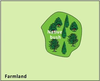 map of farmland and native bush