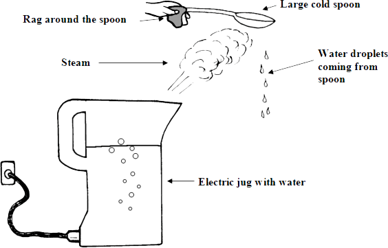 diagram of experiment investigating the water cycle