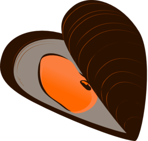 mussel