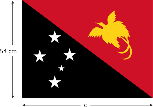 papua and new guinea flag