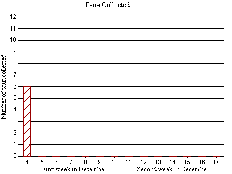 bar graph of paua collected
