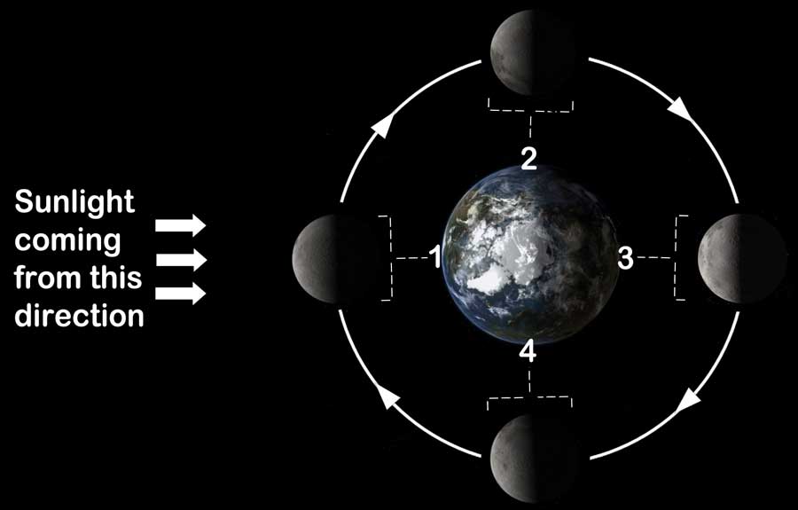 diagram of the four phases of the moon