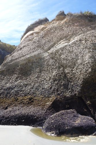 rocks at the beach