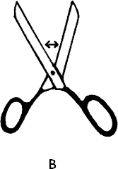 Scissors option B