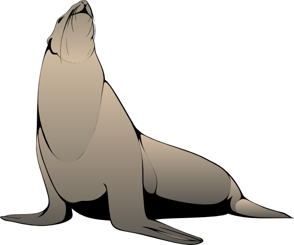 seal