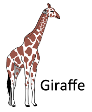 sorting2_giraffe_1.png