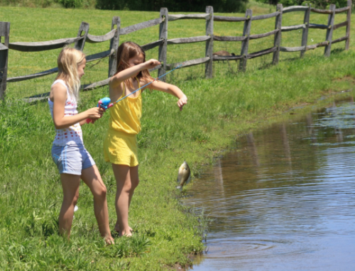 illustration: two girls fishing