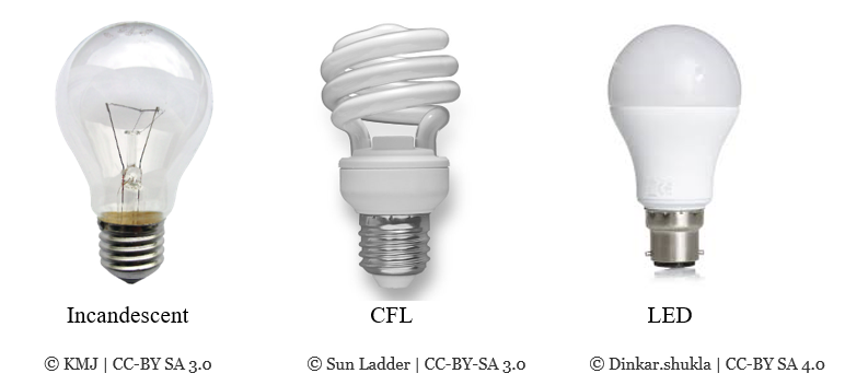 types-bulbs-1.png