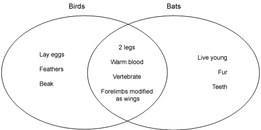 venn diagram examples