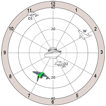 whale correctly shown at 7 o clock at 20 metres