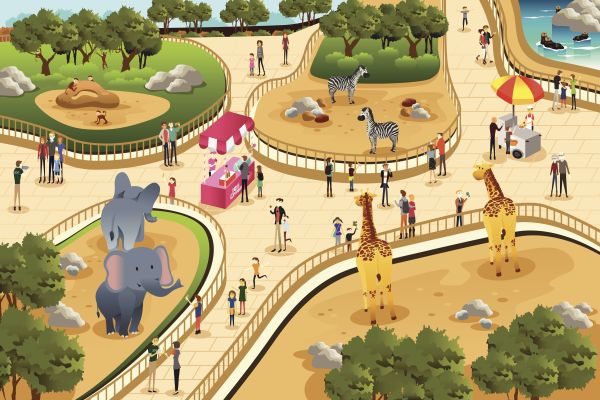 illustration: animals and people at the zoo
