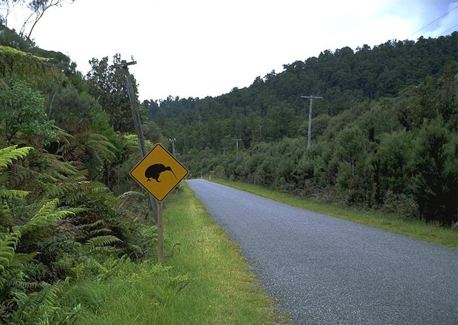 kiwi road sign