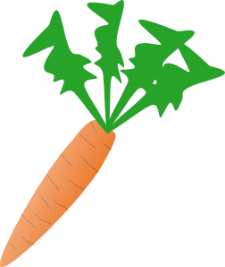 carrot