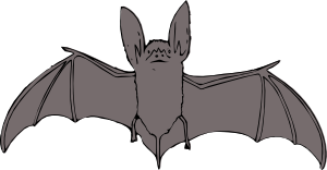 bat