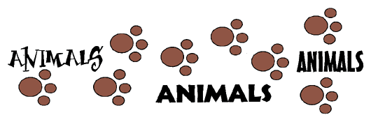 Animals logo