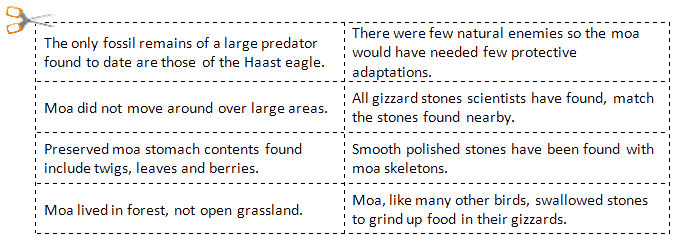 Moa-evidence-inference-options.png