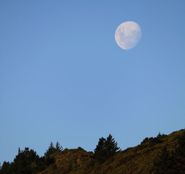 Moon-view-PK.jpg