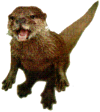 Otter.png