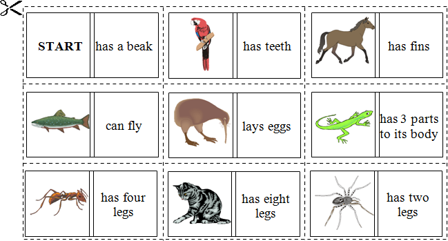 animal-domino-set-2.png