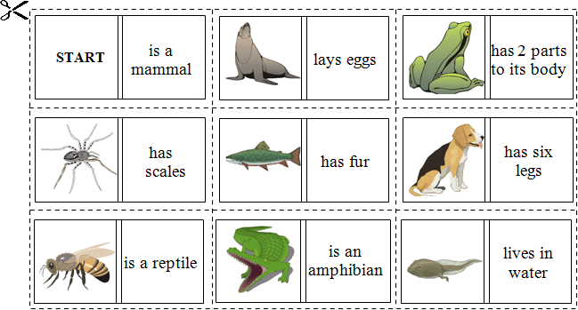 animal-domino-set-3.png