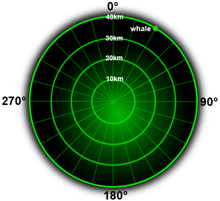 bearing to a whale shown on a radar screen