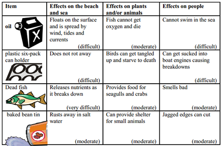 cleaning-beach-answer.png