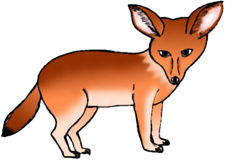 fennec-fox.png