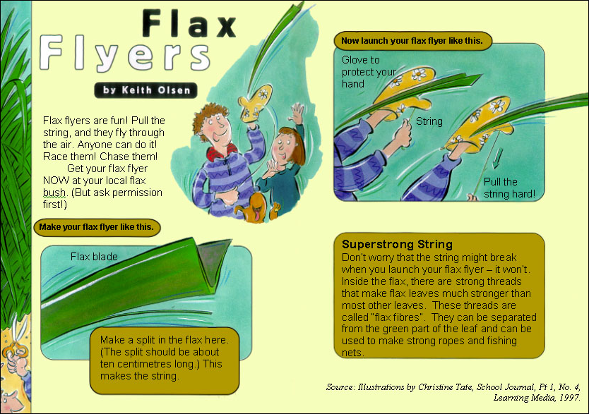 flax-flyers-Olsen.png