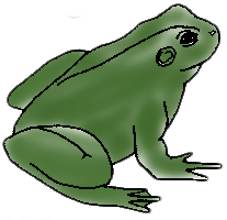 frog-c-ii.png