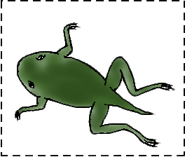 frog-lifecycle