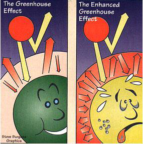 greenhouse-effect-cartoon.png