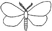 insect-option-1.png
