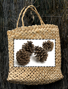 kete -pinecones.jpg